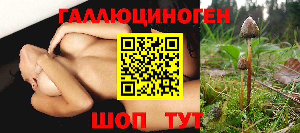 Галлюциногенные грибы Magic Shrooms  Вход с VPN  Уварово  Галлюциногенные грибы Magic Shrooms 